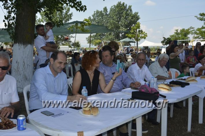 alexandriamou.gr_trikala28.5.2018423